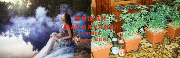 соль ск Балабаново