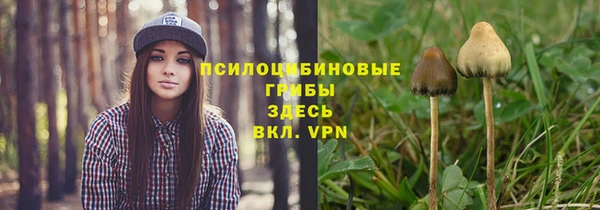 ПСИЛОЦИБИНОВЫЕ ГРИБЫ Балахна