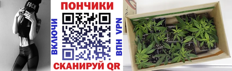 цена наркотик Тавда Бошки марихуана White Widow